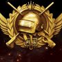 Ранги в PUBG – всё, что нужно знать о новой системе рангов